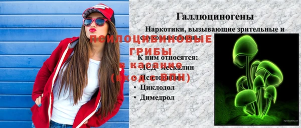 тгк Аркадак