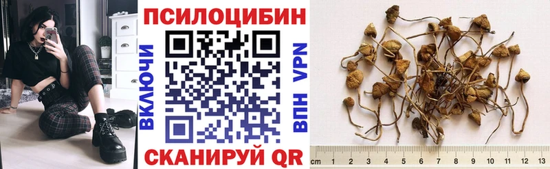 Псилоцибиновые грибы мицелий  Котельники 