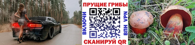 Галлюциногенные грибы MAGIC MUSHROOMS Котельники